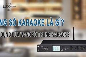 Vang số karaoke là gì? Tác dụng của vang số karaoke