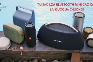 Tại sao loa bluetooth mini cao cấp lại được ưa chuộng?