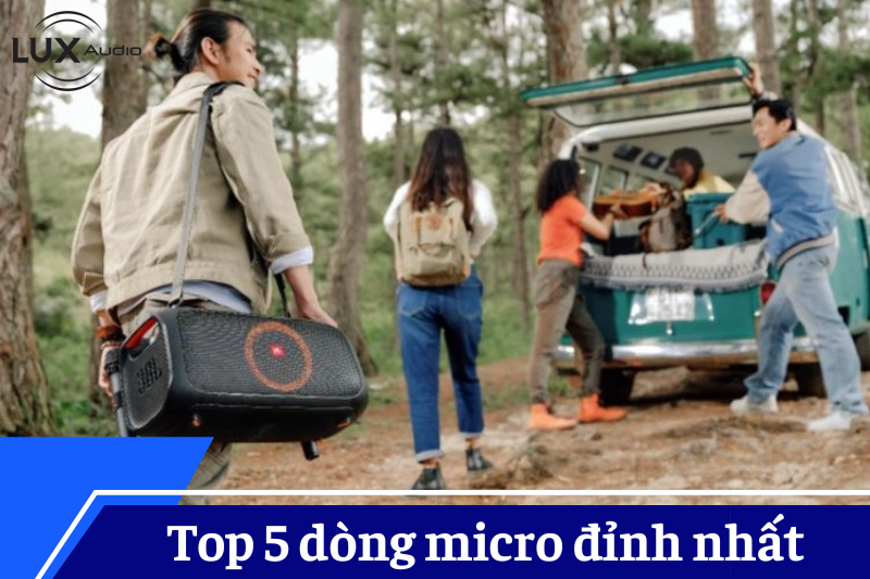 micro tích hợp echo