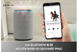 Loa bluetooth bị rè – Nguyên nhân và cách khắc phục