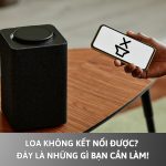 Loa Không Kết Nối Được? Đây Là Những Gì Bạn Cần Làm!