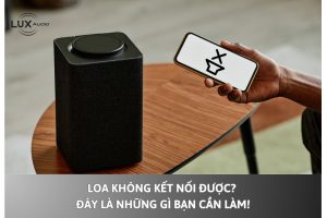 Loa Không Kết Nối Được? Đây Là Những Gì Bạn Cần Làm!