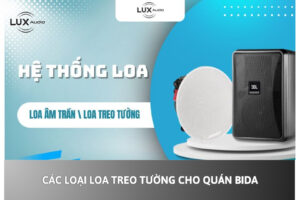 Các Loại Loa Treo Tường Cho Quán Bida