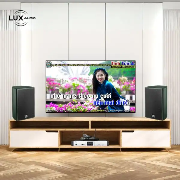 Dàn Karaoke Gia Đình Combo X01