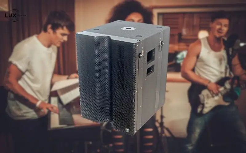 Loa subwoofer Hortus Audio LVT-15 